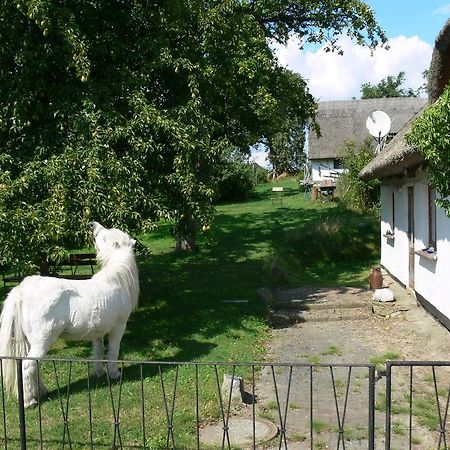 Landhotel Ruegen Stonkvitz Luaran gambar