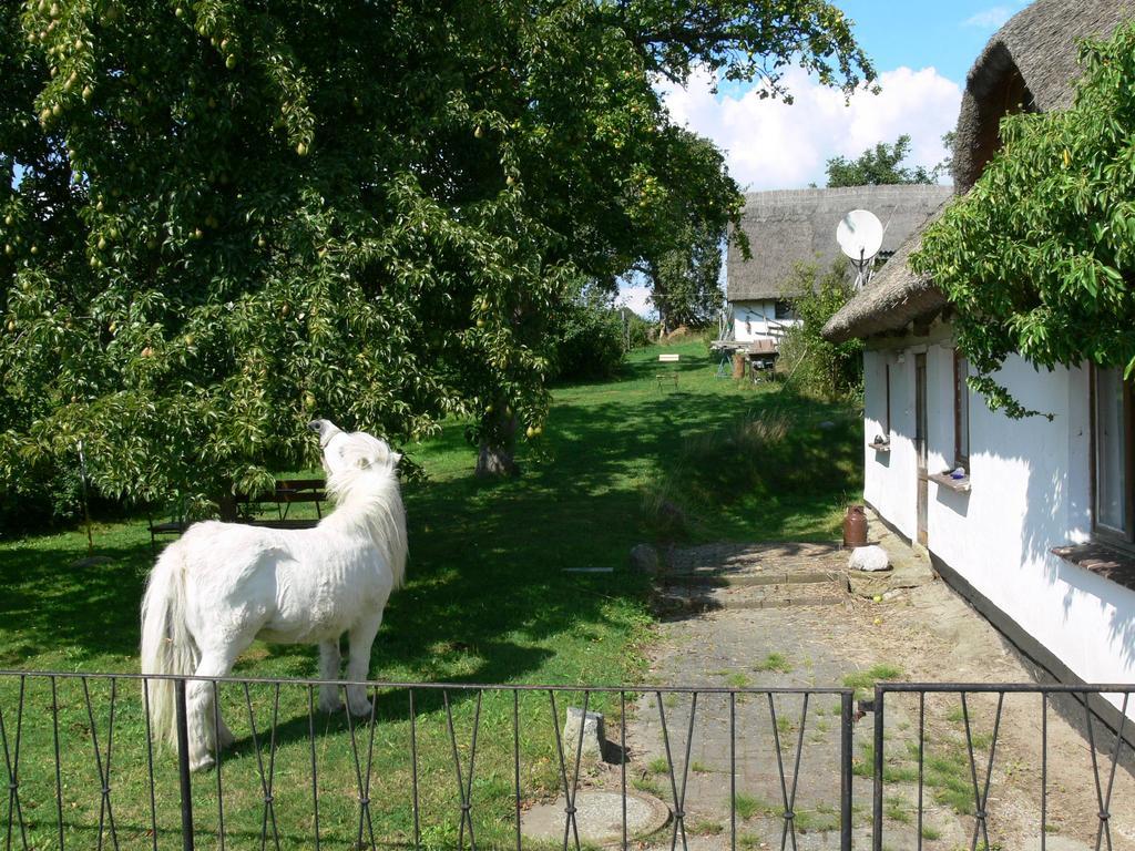 Landhotel Ruegen Stonkvitz Luaran gambar